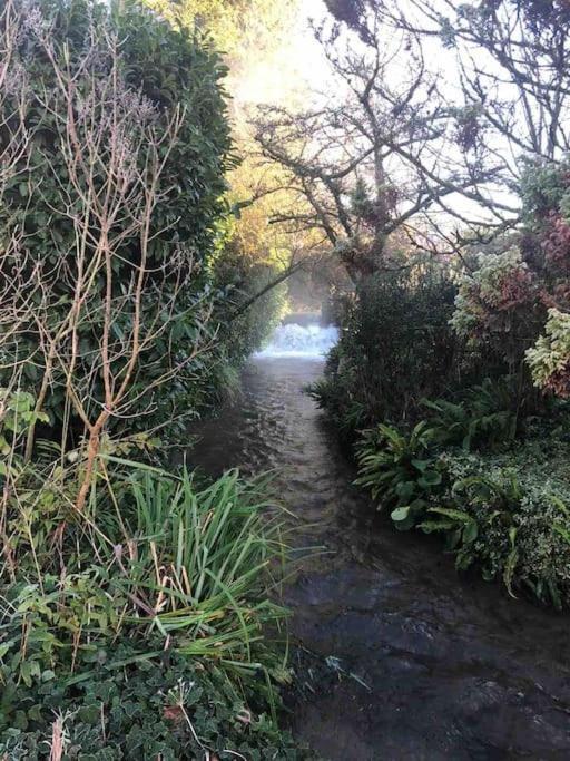 Eco-Friendly Dorset Cottage With Spa Set In Heart Of Countryside Sydling St Nicholas Екстериор снимка