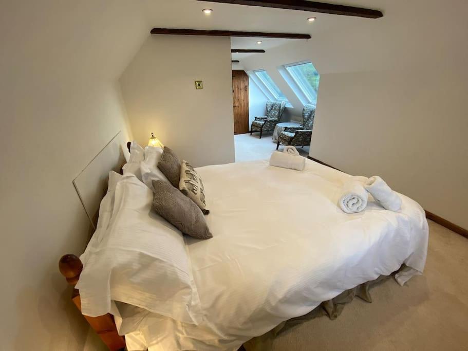 Eco-Friendly Dorset Cottage With Spa Set In Heart Of Countryside Sydling St Nicholas Екстериор снимка